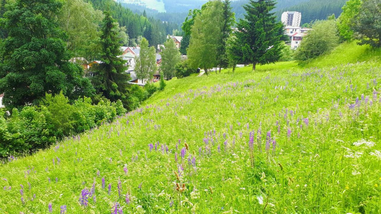 Apartman Liska V Peci - Apartmanovy Dum Horalka, Pec pod Sněžkou Buitenkant foto