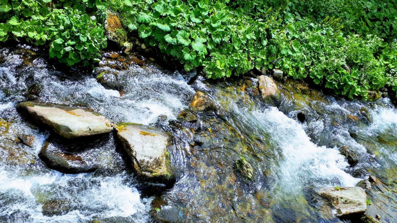 Apartman Liska V Peci - Apartmanovy Dum Horalka, Pec pod Sněžkou Buitenkant foto